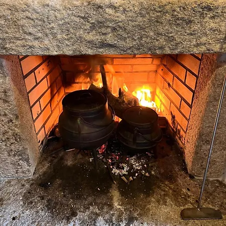 Prázdninový dům House With Saltwater Pool - Charming In The Douro Valley Cinfães