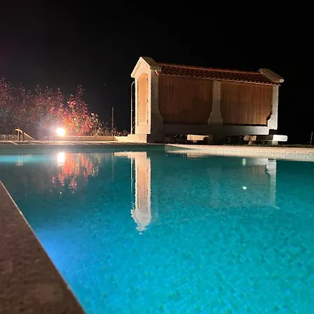 House With Saltwater Pool - Charming In The Douro Valley Cinfães