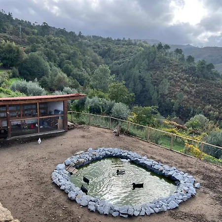 House With Saltwater Pool - Charming In The Douro Valley * Cinfães