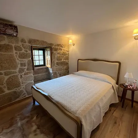 House With Saltwater Pool - Charming In The Douro Valley Prázdninový dům Cinfães