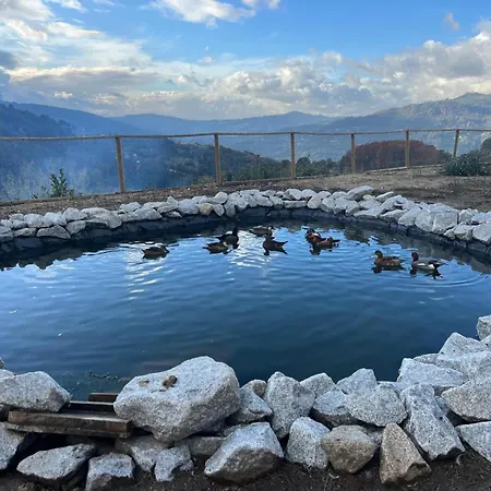 House With Saltwater Pool - Charming In The Douro Valley * Cinfães