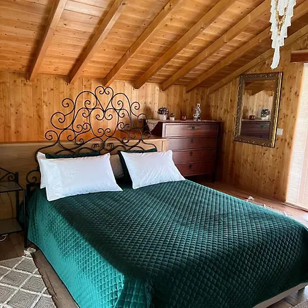 Prázdninový dům House With Saltwater Pool - Charming In The Douro Valley Cinfães