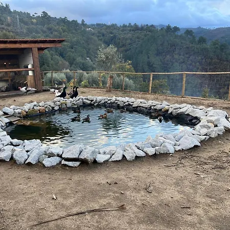 Prázdninový dům House With Saltwater Pool - Charming In The Douro Valley Cinfães