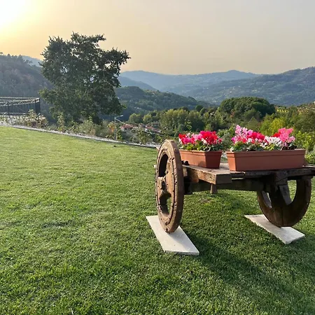 Quintinha Da Mariana - Charming In The Douro Valley Cinfães
