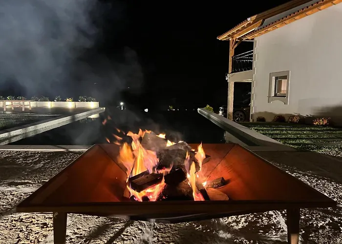 House With Saltwater Pool - Charming In The Douro Valley Cinfães