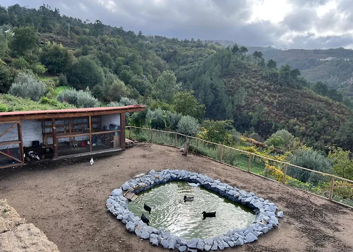 House With Saltwater Pool - Charming In The Douro Valley * 친파에스