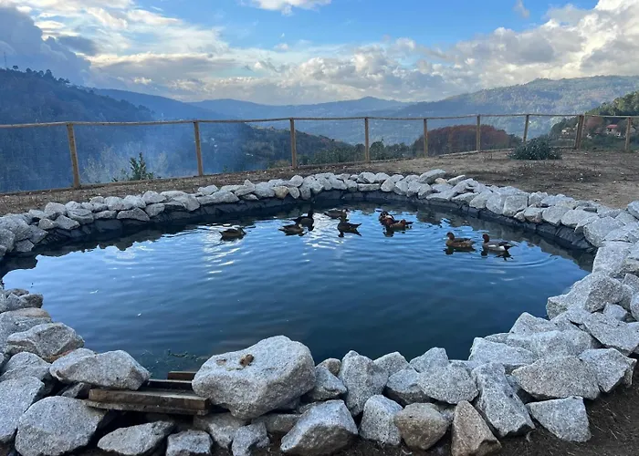 House With Saltwater Pool - Charming In The Douro Valley * 친파에스