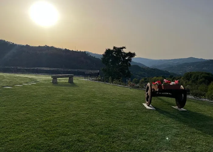 House With Saltwater Pool - Charming In The Douro Valley