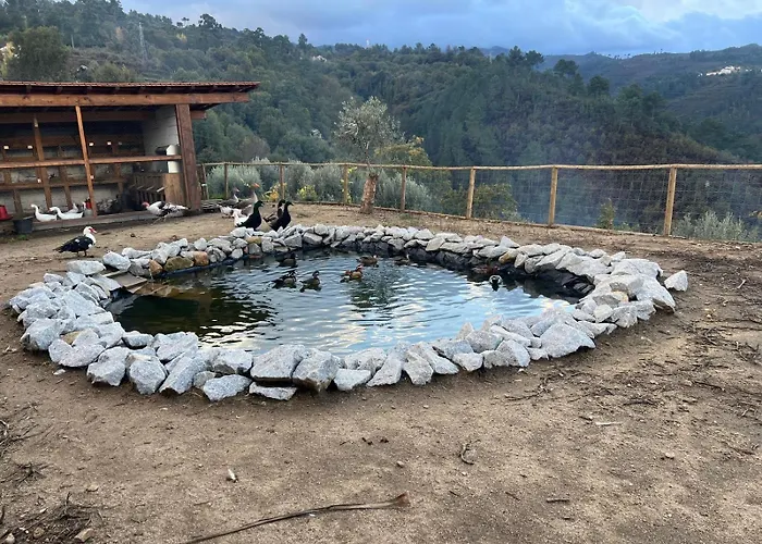Prázdninový dům House With Saltwater Pool - Charming In The Douro Valley Cinfães