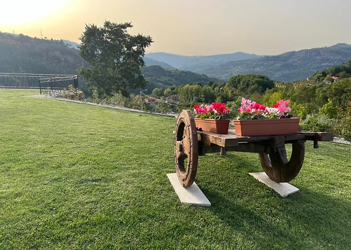 House With Saltwater Pool - Charming In The Douro Valley Cinfães